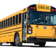 Image for article titled My Love For These Two Buses Runs Deep